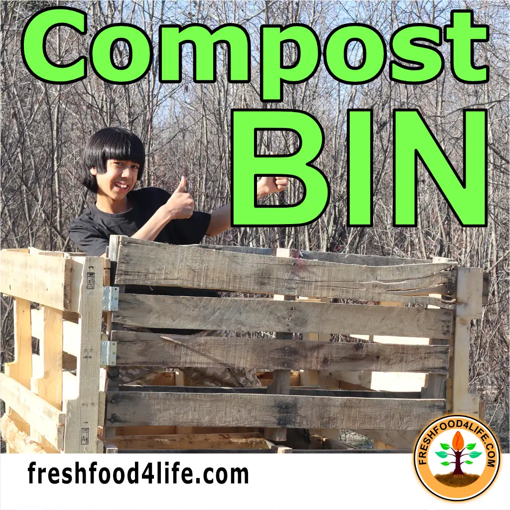 Compost bin